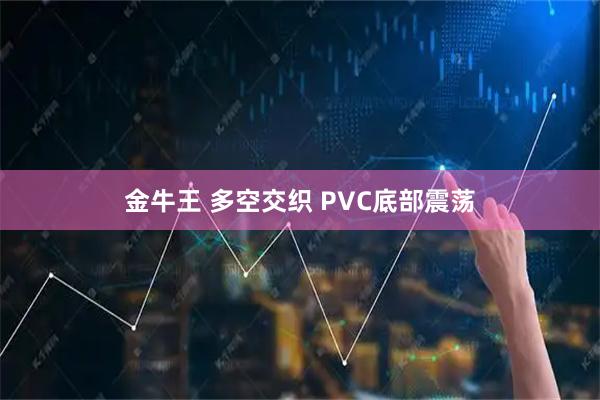 金牛王 多空交织 PVC底部震荡